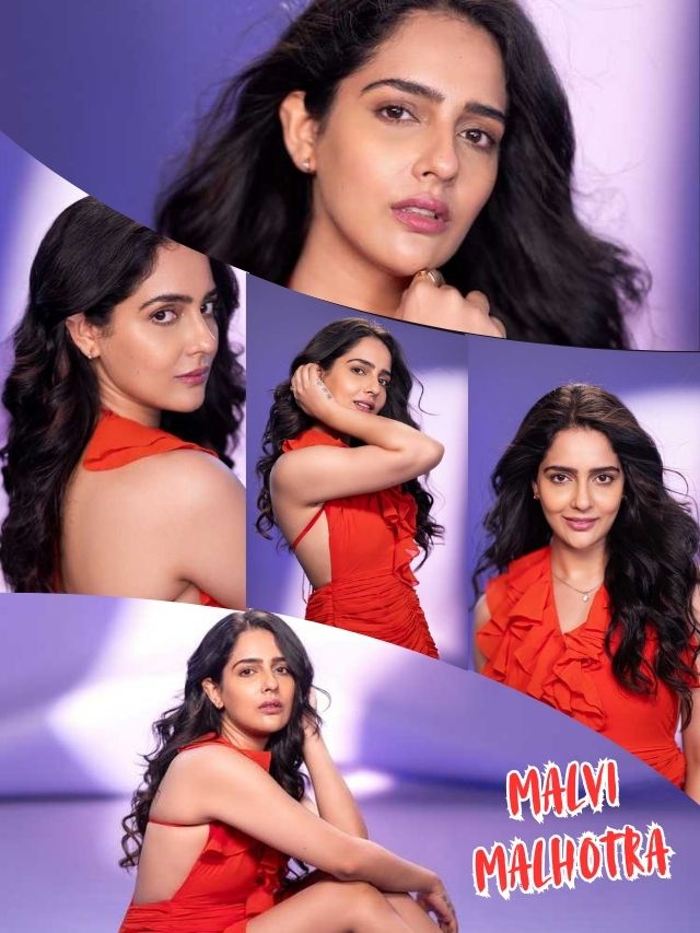 Malvi Malhotra –  Glamour in Every Frame
