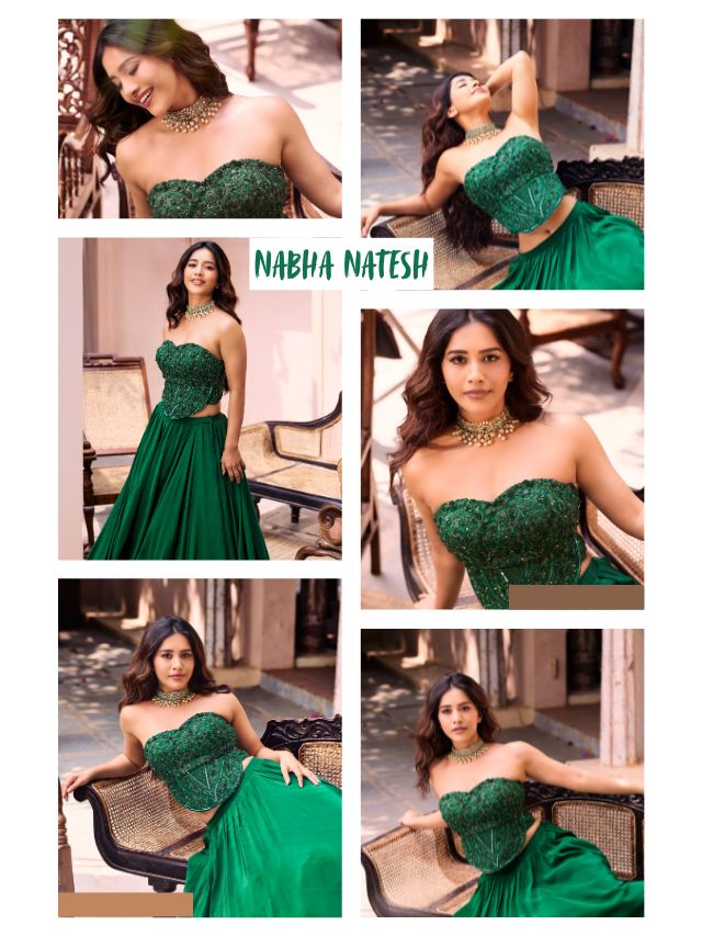 ✨ Nabha Natesh Sets the Internet on Fire ✨