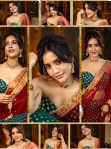 Nabha Natesh