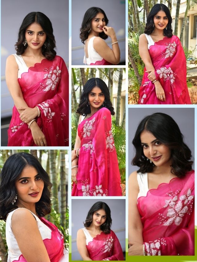 ✨ Ananya Nagalla’s Elegant Saree Look ✨