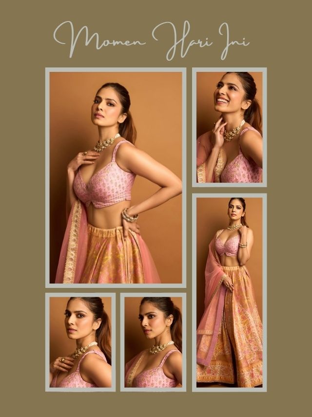 Malavika Mohanan’s Elegant Ethnic Look