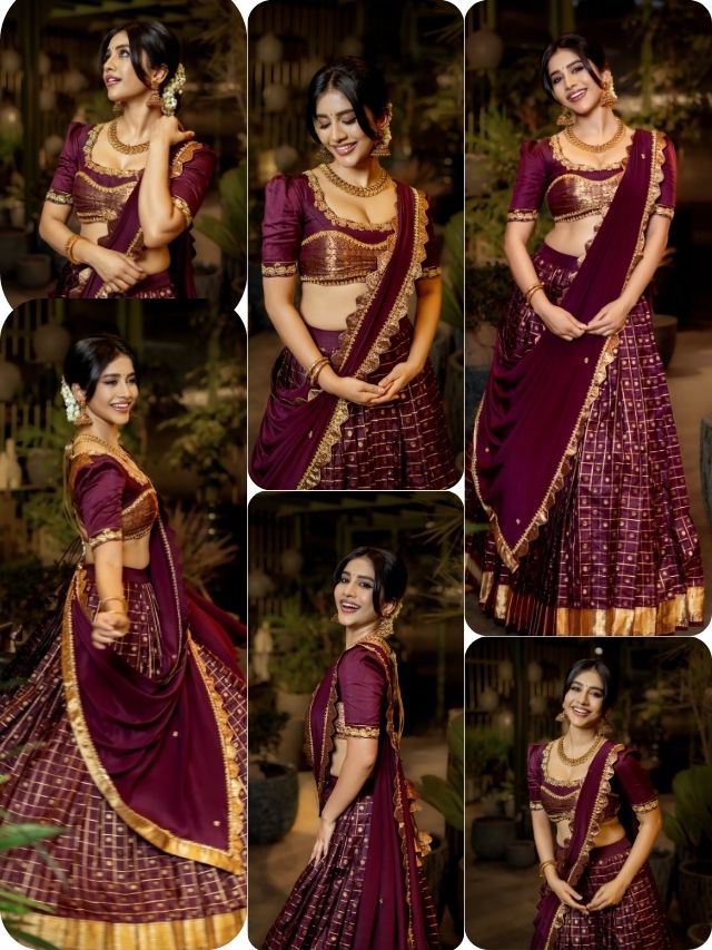 ✨ Nabha Natesh Festive Elegance✨