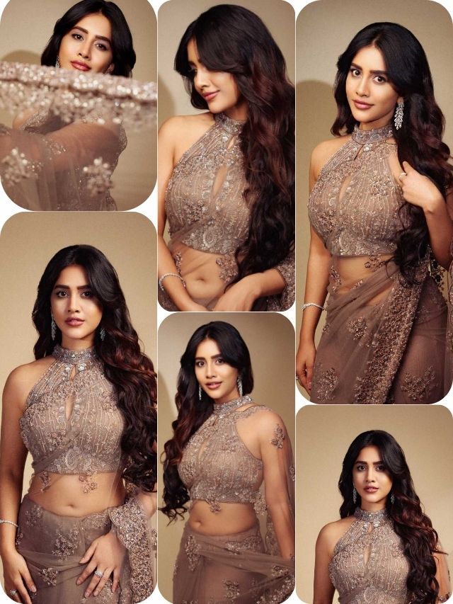 Nabha Natesh stuns in a dazzling embellished ensemble