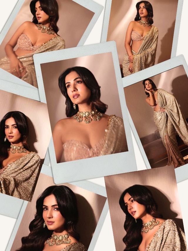 Sonal Chauhan’s Golden Glam
