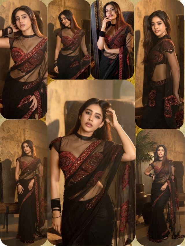 Nabha Natesh turns heads in a stunning black saree