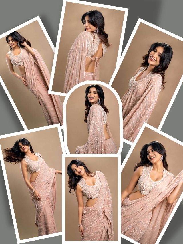 Nabha Natesh Stuns in Elegant Saree Look ✨