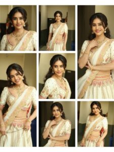 Nabha Natesh