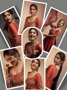 Nabha Natesh