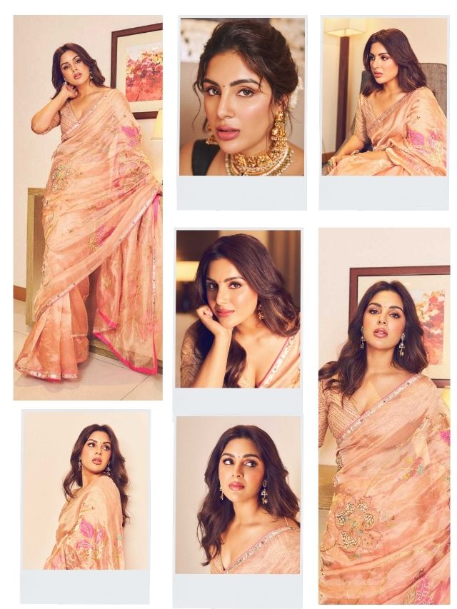 Samyuktha’s Grace in a Peach Saree Steals Hearts