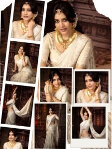 Nabha Natesh