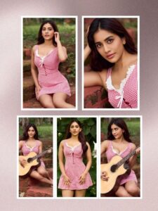 Nabha Natesh