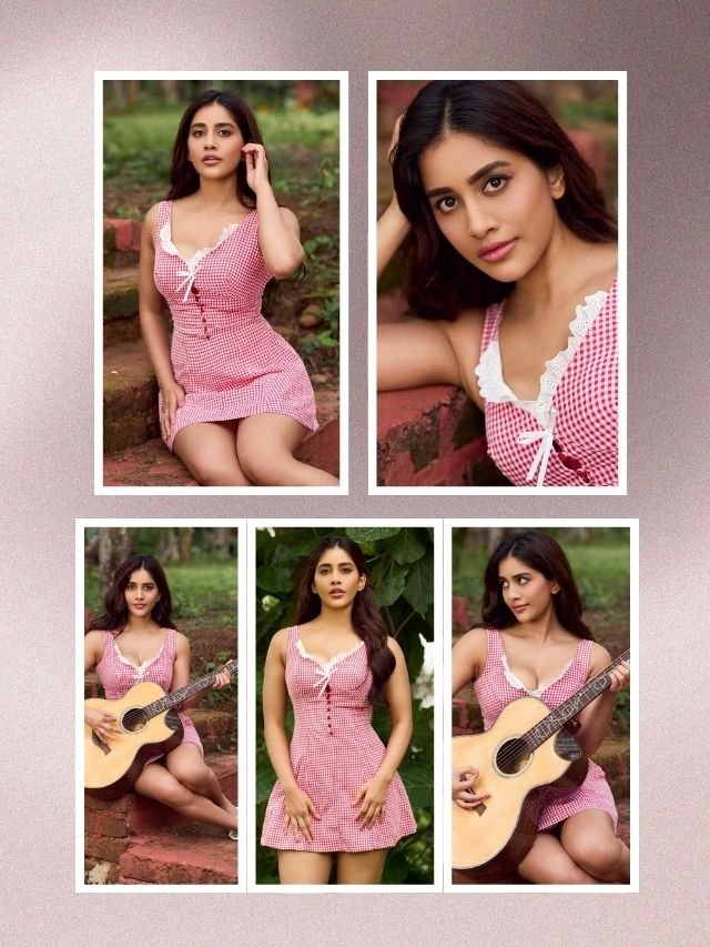 Nabha Natesh Looks Pretty in Pink Checks