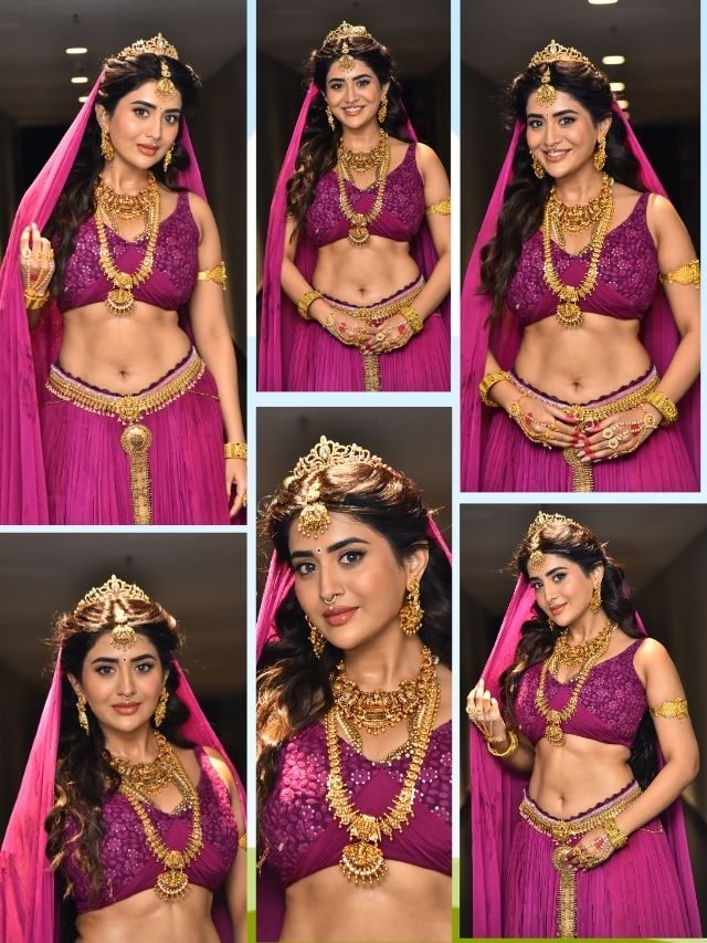 Rashi Singh’s Royal Look 
