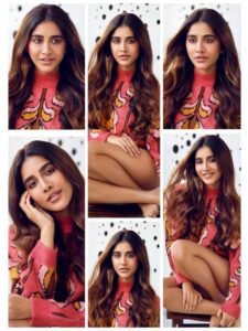 Nabha Natesh